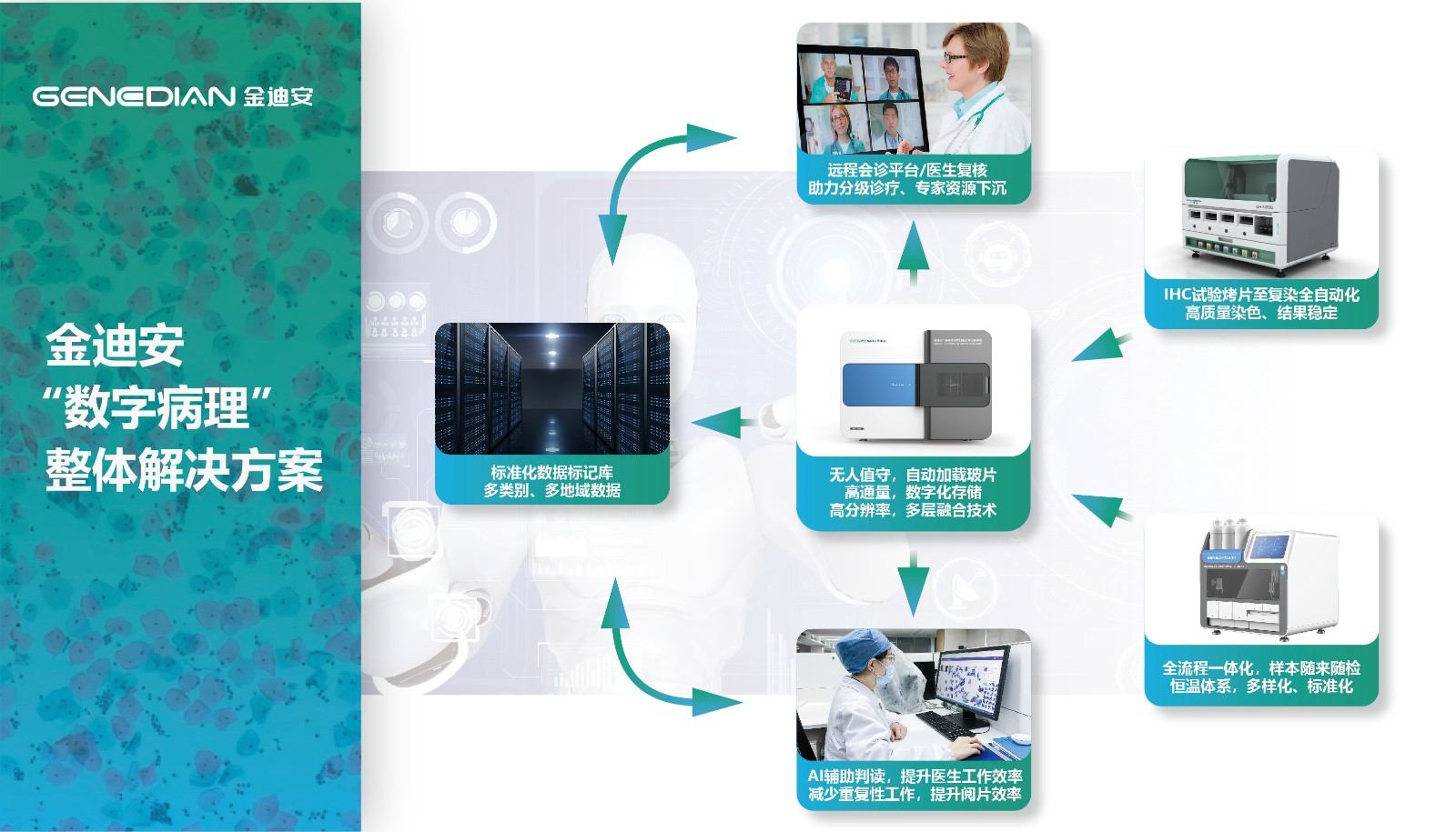 1676254572923588.jpg 画板 2 副本@8x-100(1).jpg