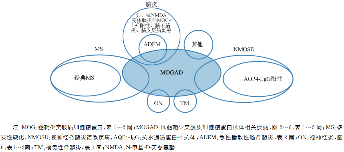 1704431738912299.png ͼƬ 5.png