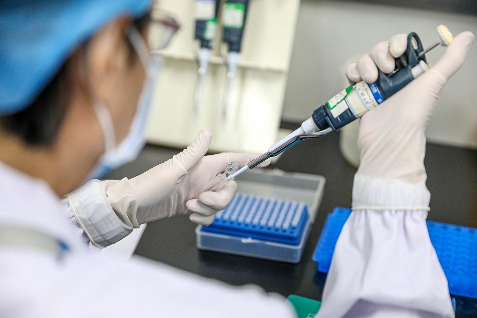 1710380334950960.jpg 406A9233.jpg